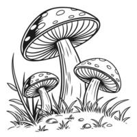 Mushroom cluster illustration three toadstools in grass black and white line art vector