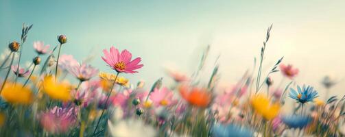Vibrant wildflowers swaying in a sunny meadow. photo