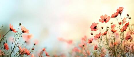 Delicate flowers in soft focus against a dreamy pastel background. photo