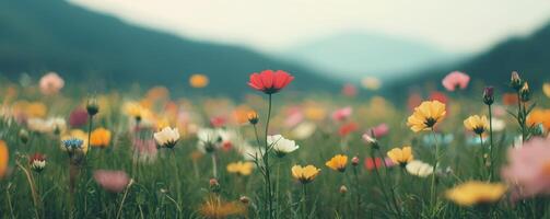 Vibrant wildflowers blooming in a lush green meadow under a soft sky. photo