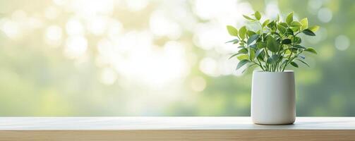 Green plant in a white pot on a wooden table with a blurred background. photo