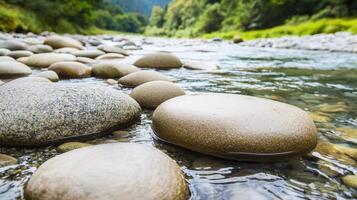 Smooth stones in a serene river landscape under natural light. photo