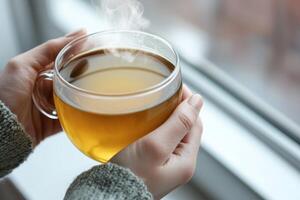 Warm cup of tea held by hands near a window with steam rising. photo
