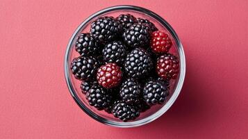 blackberries in a glass bowl on a pink background photo