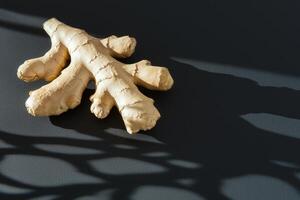 Natural coral piece casting shadows on a dark surface. photo