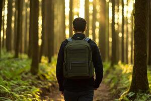 A person walking in a forest with sunlight streaming through trees. photo