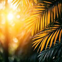 Sunlight filters through vibrant palm leaves, creating a warm atmosphere. photo