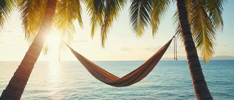 Hammock between palm trees by serene ocean at sunset. photo