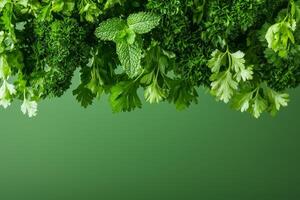 Fresh herbs hanging against a green background. photo