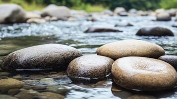 Smooth stones in a serene river setting surrounded by greenery. photo