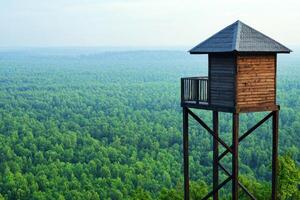 Wooden lookout tower above a vast green forest landscape. photo