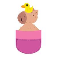 Contented capybara in pocket with rubber duck on head Adorable rodent in pouch with bath toy on its head Sweet animal in a pocket with duckling perched Cute pet enjoying vector