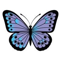 Vibrant Butterfly Illustrations for Creative Projects vector