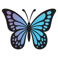 Elegant Butterfly Illustration for Graphic Designers vector
