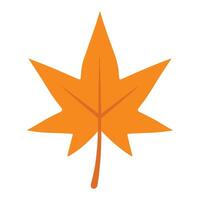 Autumn Leaves Floating in a Fall Inspired Design vector
