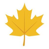 Autumn Leaves Illustration in a Minimal Fall Theme vector