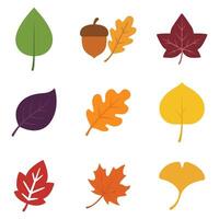 Artistic Fall Leaves in a Simple Leaf Illustration bundle vector