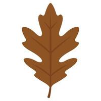 Elegant Fall Leaf Drawing with Autumn Leaf Elements vector
