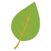 Isolated Autumn Leaf Graphics for Fall Designs vector