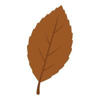 Fall Leaf Artwork with Natural Autumn Leaf Shapes vector