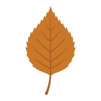 Autumn Leaves in a Rustic Fall Illustration vector