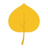 Fall Inspired Leaf Designs with Isolated Graphics vector