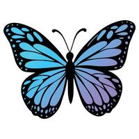 Cute Butterfly Clipart and Beautiful Isolated Butterfly Illustrations vector
