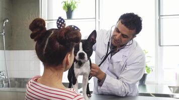 Compassionate vet examining a puppy with a little girl at the clinic video