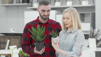 Young couple joyfully selecting potted plants at a stylish furnishings store video