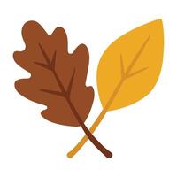 Autumn Leaves Isolated in a Fall Leaf Drawing vector