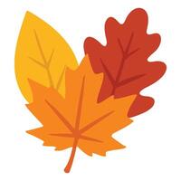 Hand Drawn Fall Leaves with Isolated Elements vector