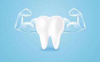Strong Healthy Tooth with Abstract Polygonal Muscles vector