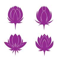 Stylized flower illustrations in two-tone palette excellent design and print work vector