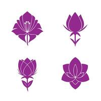 Elegant floral clipart set with consistent theme usable print and digital formats vector