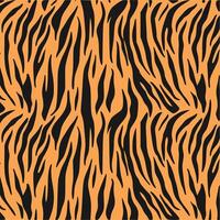 tiger stripe pattern seamless wild animal print design vector