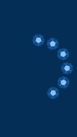 A stop motion animation featuring round flower frames appearing one by one, creating a delicate and graceful design perfect for invitations or decorative themes video