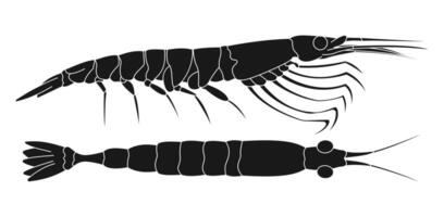 Black silhouette of shrimp in side view illustration vector
