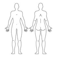 Set of line style body figure silhouettes vector