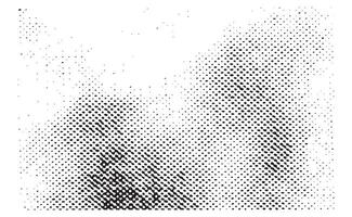 Half-filled dotted texture background pattern vector