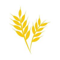 Flat design of wheat gandum logo symbol vector