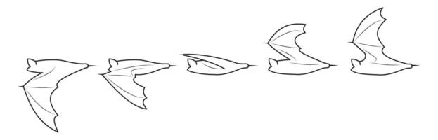 Outline design of bat flying process for motion vector