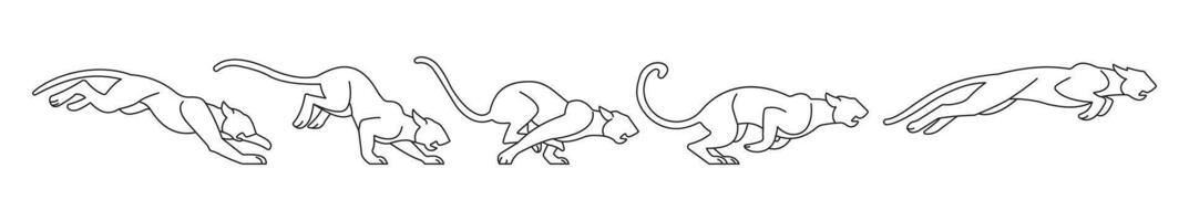 outline icon of big cat jump process during hunt vector