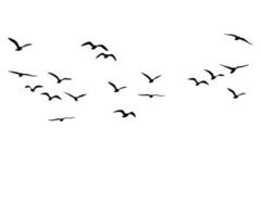 silhouette icon of a bird flying in the sky vector