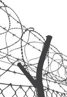 Fence wire and posts design isolated on white vector