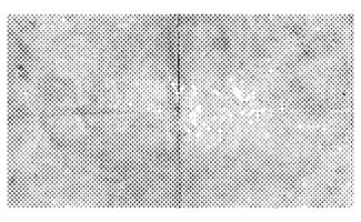 Abstract dotted texture pattern used as background vector