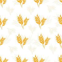 Wheat pattern design with white and yellow background vector
