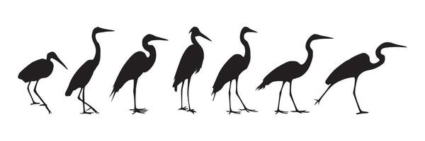 Set of standing flamingo silhouettes in format vector