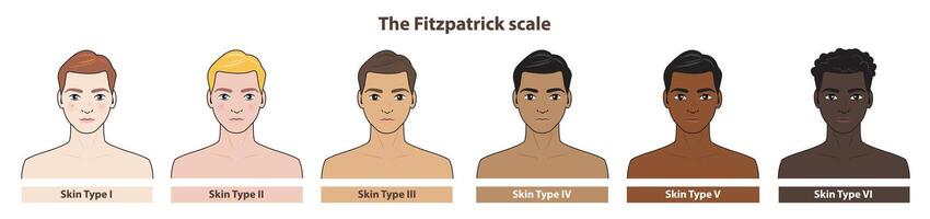 The Fitzpatrick skin tone phototype with men cartoon character illustration on white background. Diagram of ethnicity skin tone scale phototype melanin and hair color melanin. The Fitzpatrick scale. vector