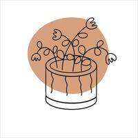 Simple line art of flowers and leaves arranged in a round pot. A botanical illustration with abstract shape in bohemian style vector