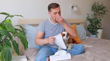 man suffers from allergy and sneezes near dog on bed. he uses paper tissues. health concept, veterinarian, allergist. video